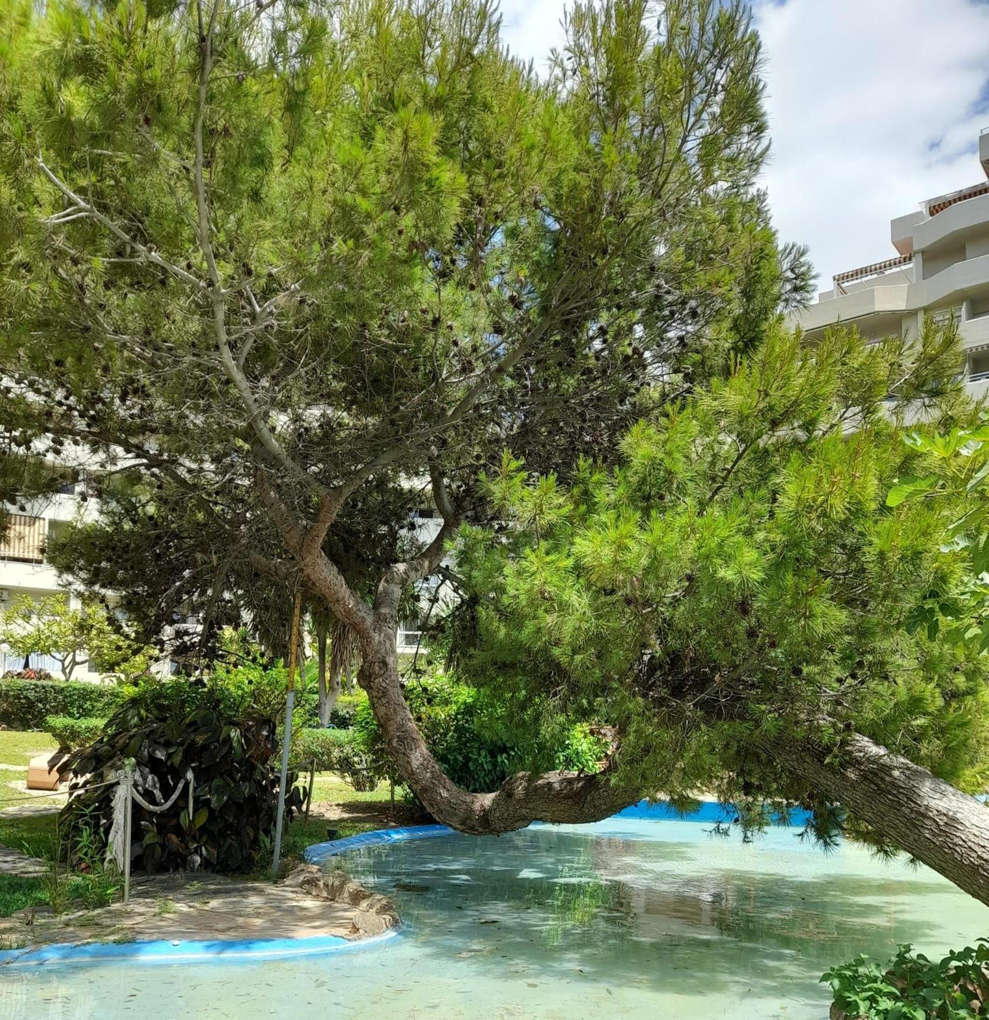 Benalbeach R&R Suite Benalmádena Zewnętrze zdjęcie